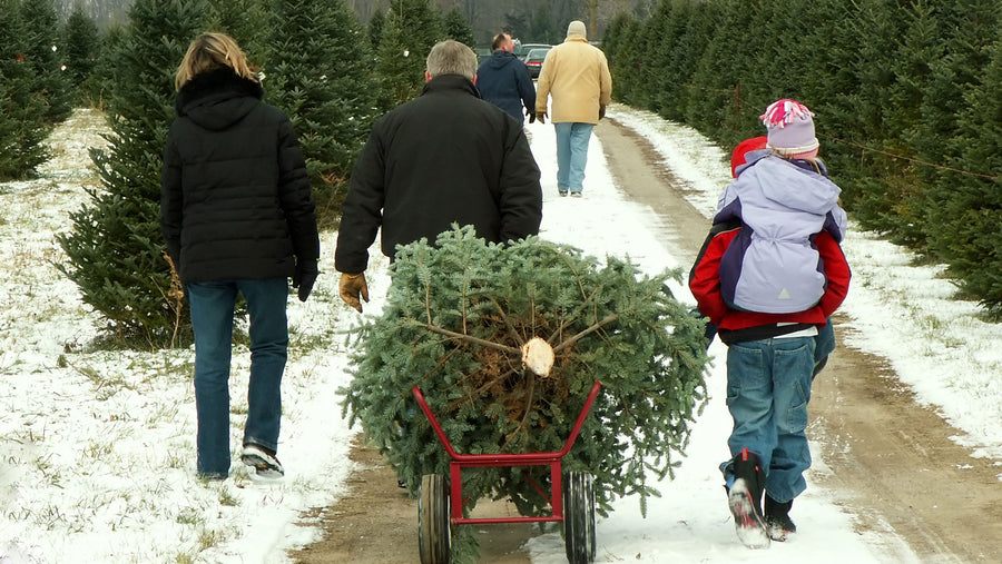 Top Family Christmas Traditions to Start This Year