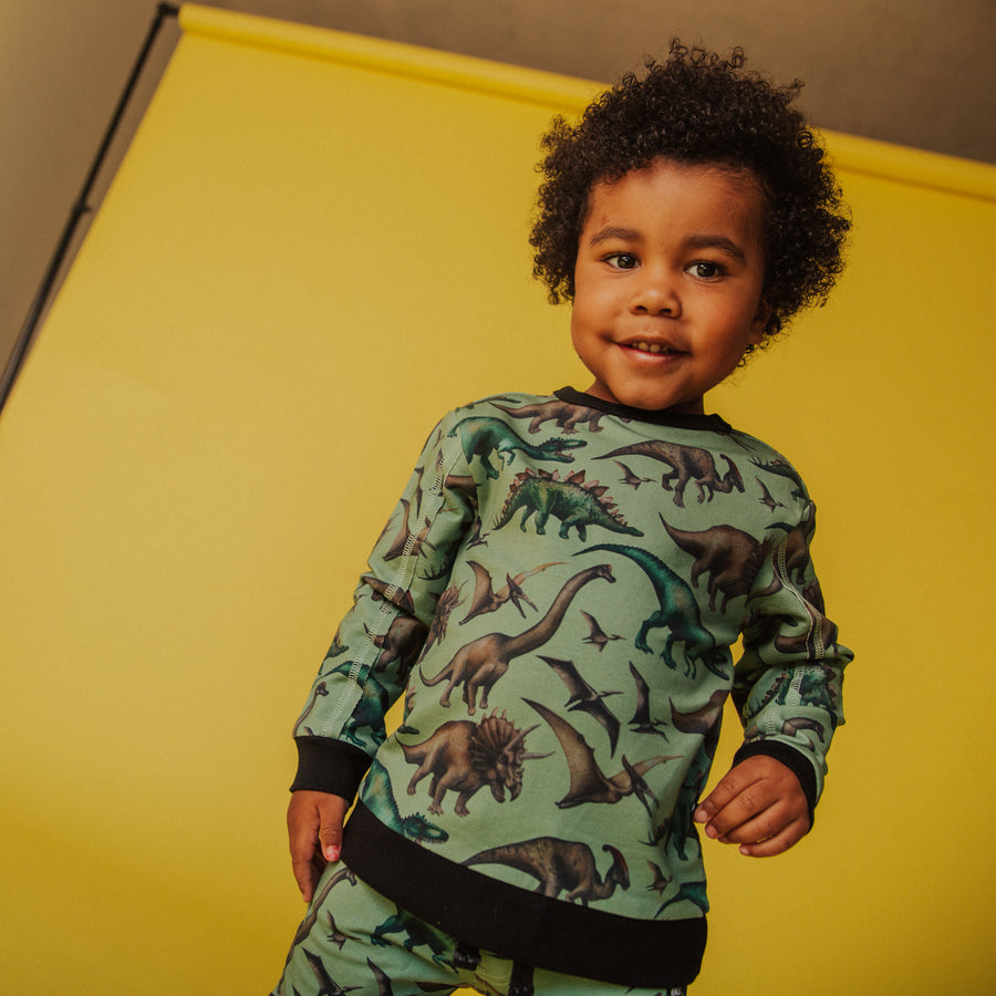 Kids Sweatshirt - 'Green Dinosaurs'